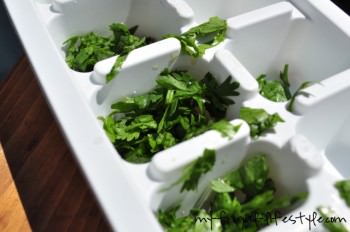 Store Herbs organize How to Store Herbs and Avoid Mold