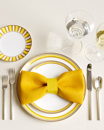 Now, let's learn how to fold a napkin fancy for an elegant dinner party or 