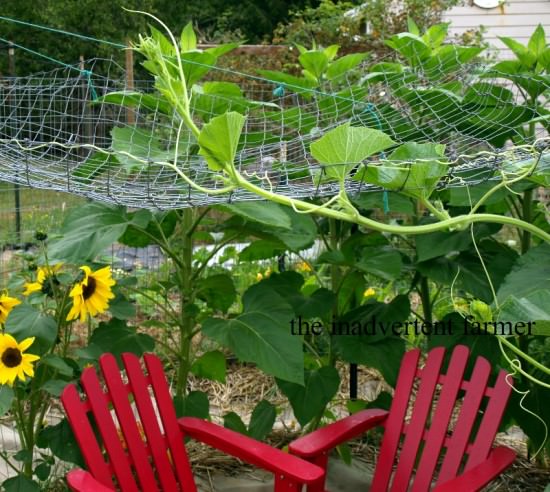 Scratch names in the sides of flowers pictures with names for kids. Scratch names in the sides of