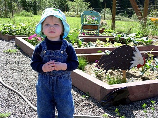 all crafts Garden Beds, Pockets and Pots. Oh My! {how to garden} photo all crafts Garden Beds, Pockets and Pots. Oh My! {how to garden}
