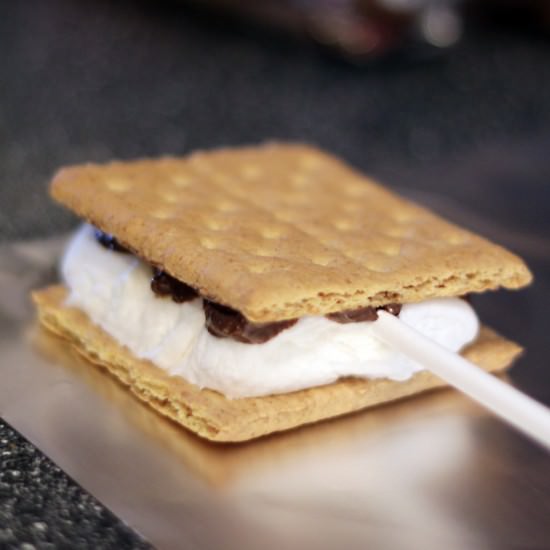 all crafts How To Make Smores Pops {smores recipe}