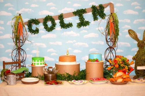 Partido de aniversário bonito Coelho all crafts 43 Creative Zoo Animal Birthday Party Themes